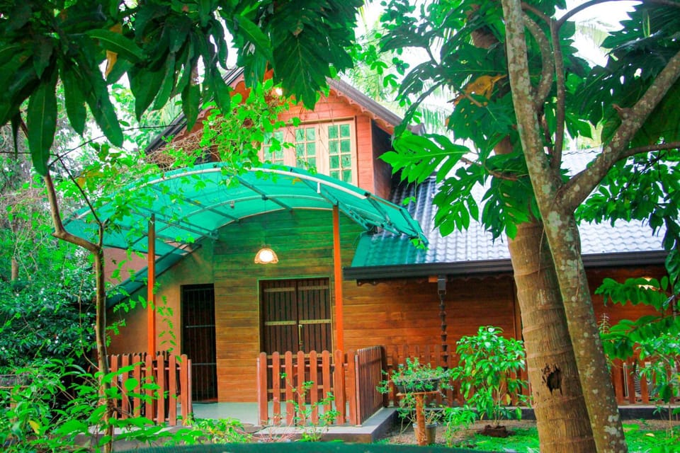 Property building, Garden, Garden view