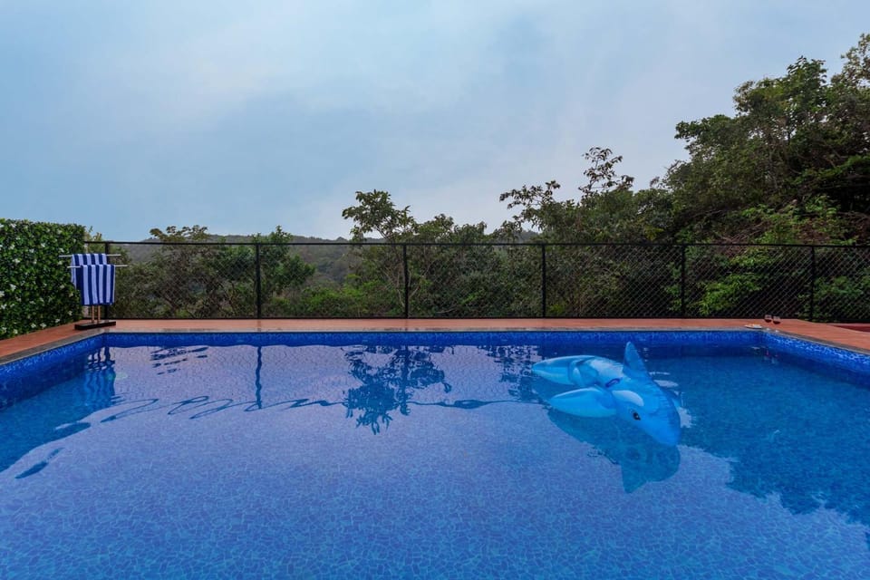 Swimming pool, Swimming pool