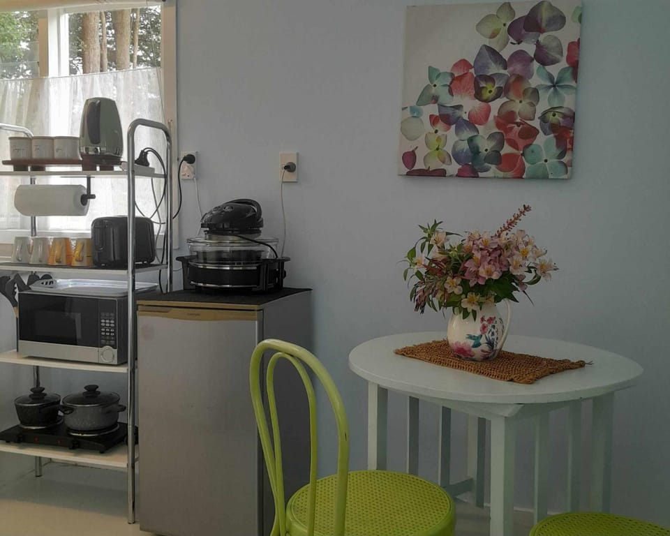 Kitchen or kitchenette, Seating area, microwave, stove, toaster