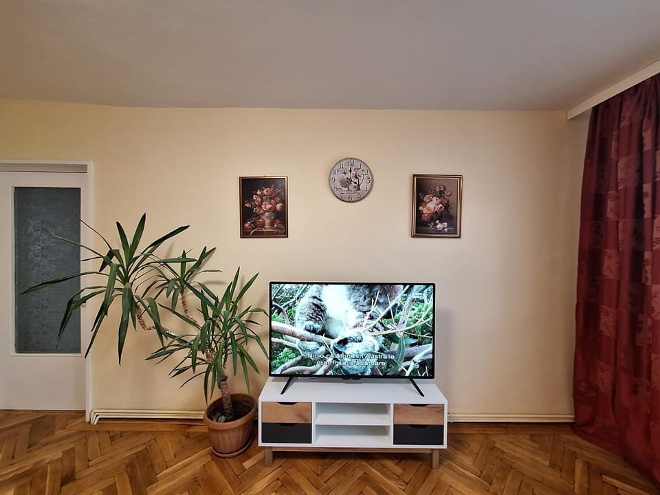 Autentic Apartment in Sibiu
