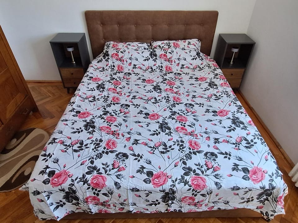 Autentic Apartment in Sibiu
