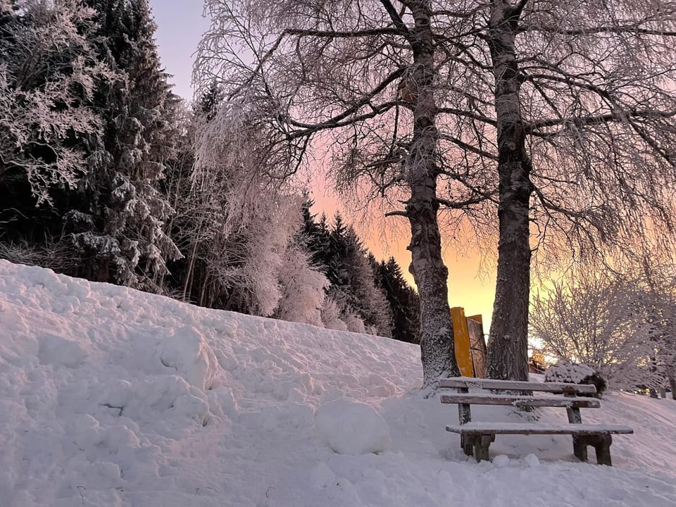 Luserblick Apartment in Schladming