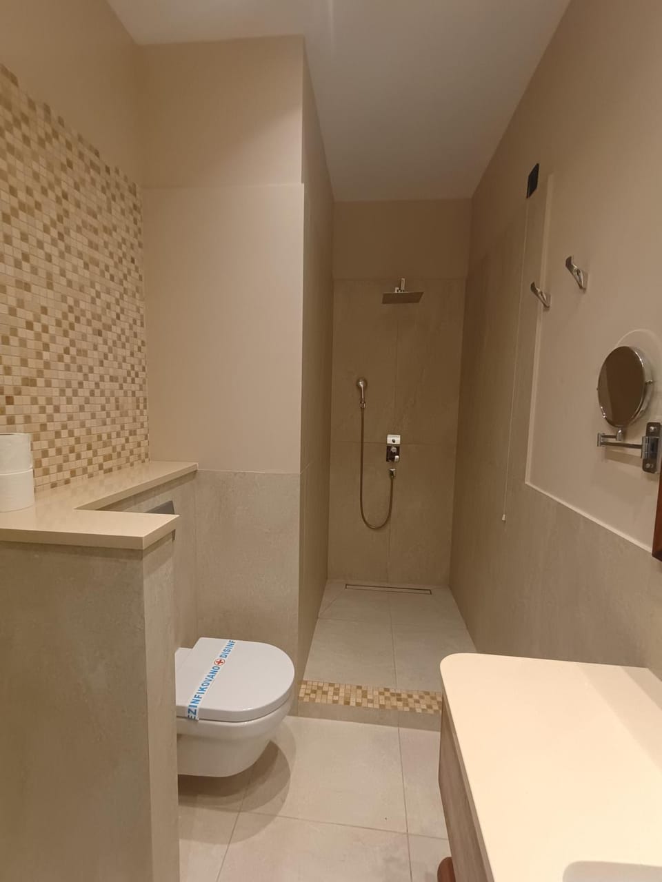 Shower, Toilet