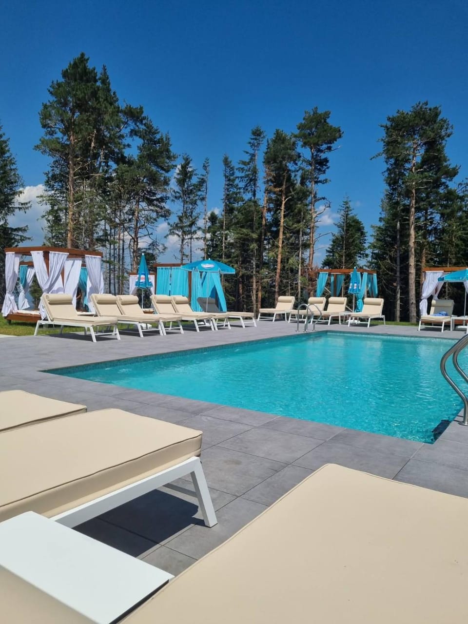 Garden, Swimming pool