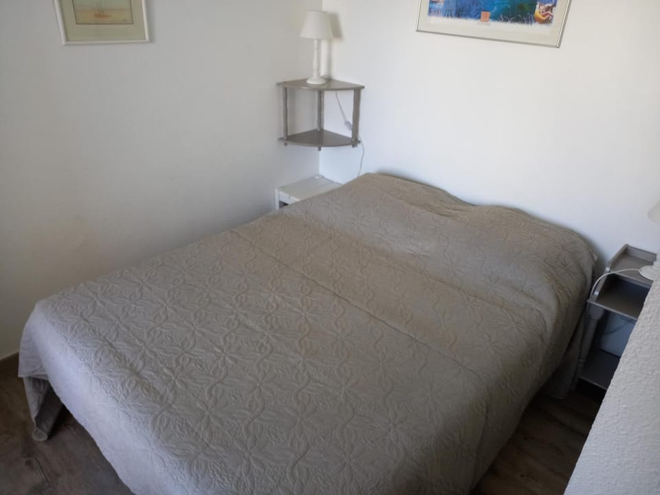 Capao 160, piscine, parking, clim Apartment in Agde