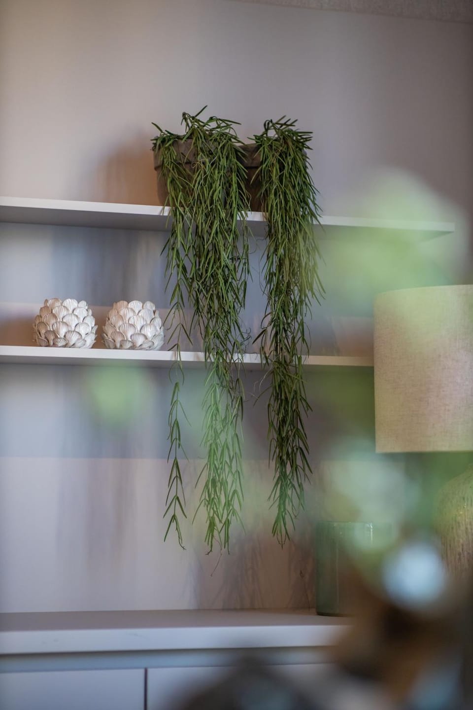 The Harbour luxurious, use of hotel swimming pool and sauna Apartment in Zeeland, Netherlands