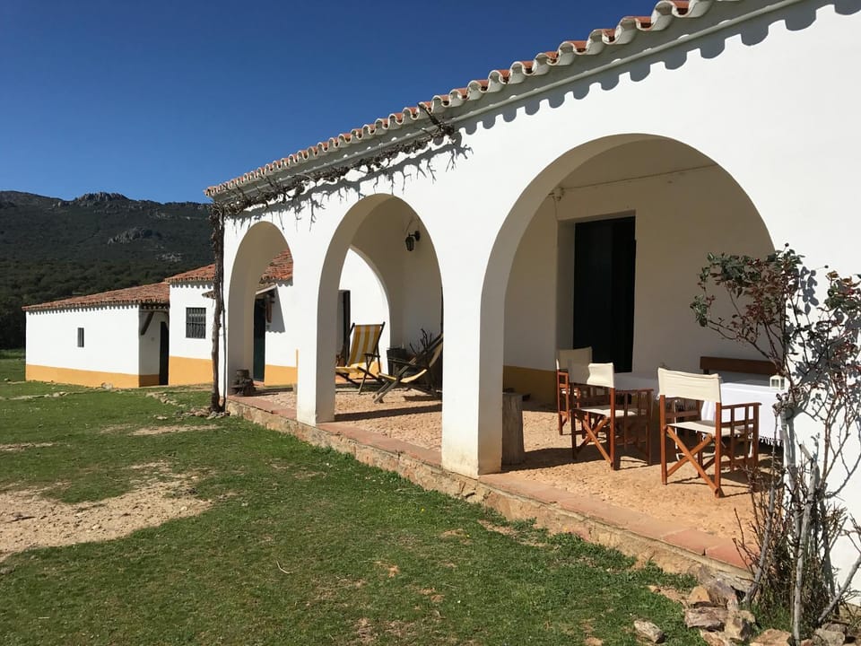 Patio, Balcony/Terrace, Lobby or reception