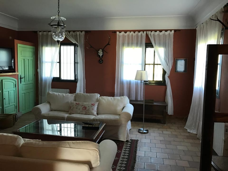 Communal lounge/ TV room, Lounge or bar