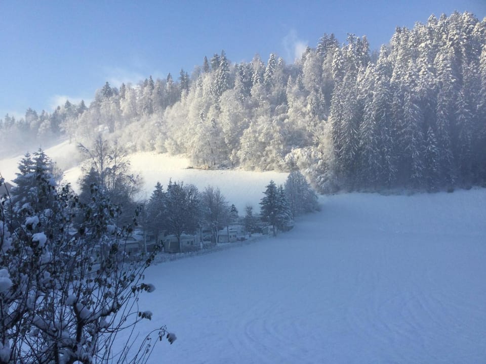 Appartement Natur Apartment in Tyrol