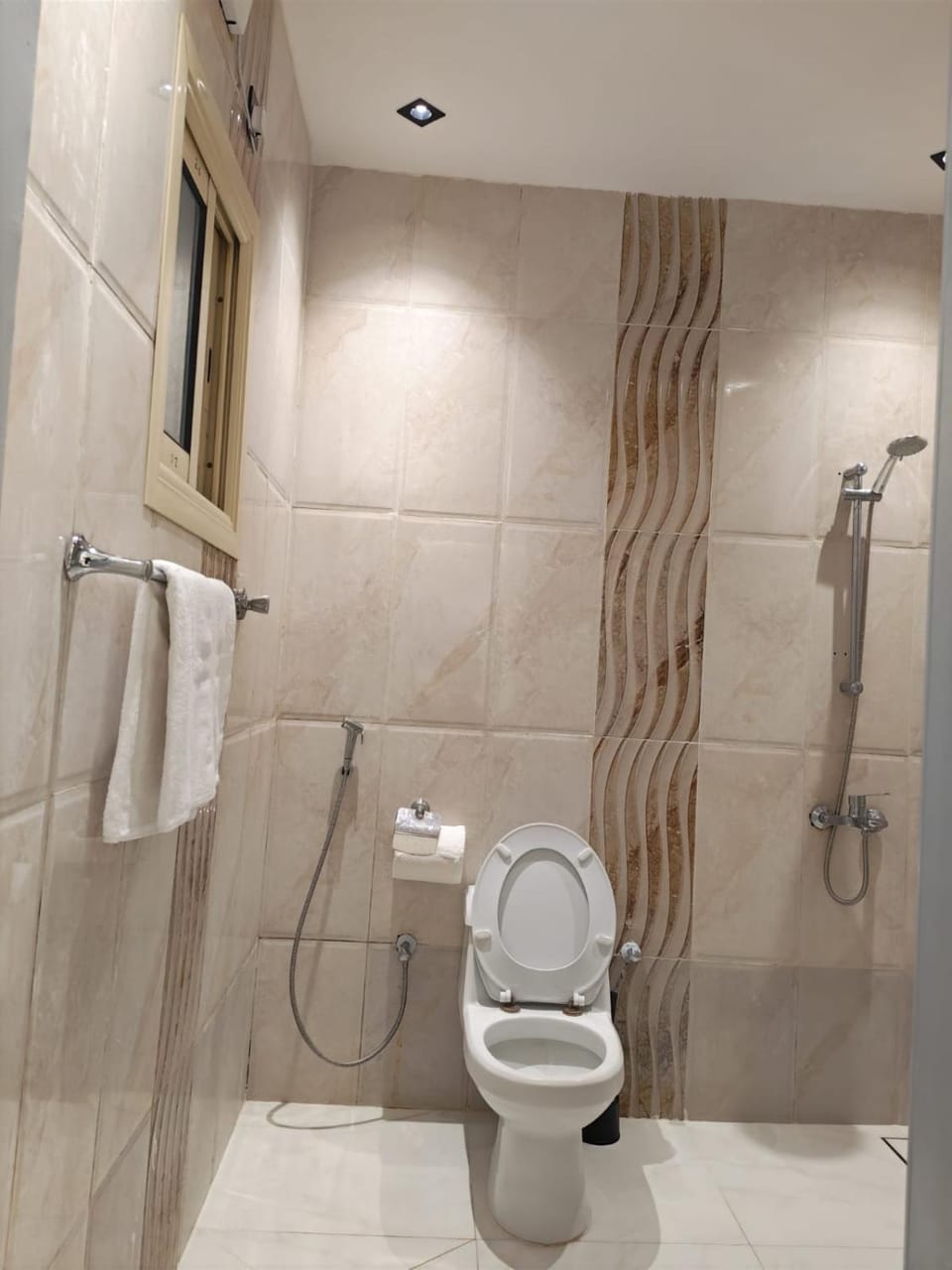 Shower, Toilet, Bathroom, bidet