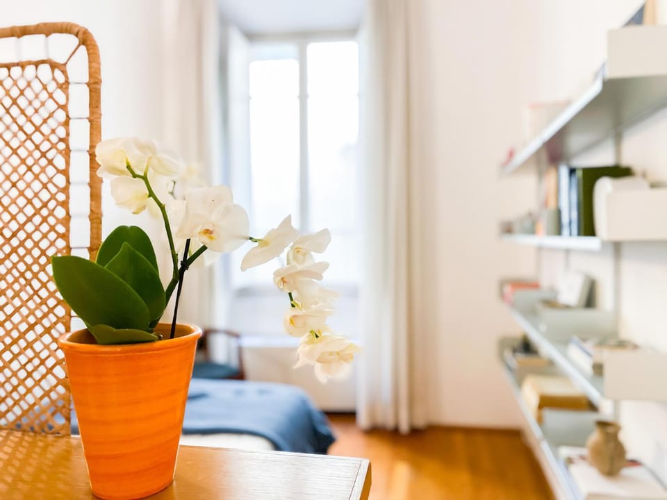 Stile & comfort near P. Signoria Apartment in Florence