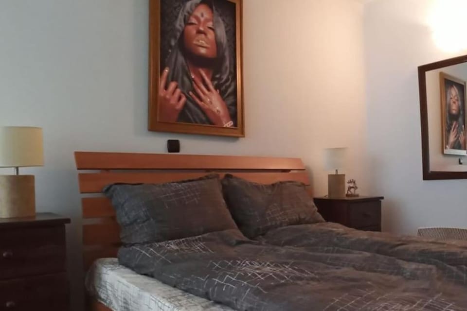 Апартамент Edelweiss Apartment in North Macedonia