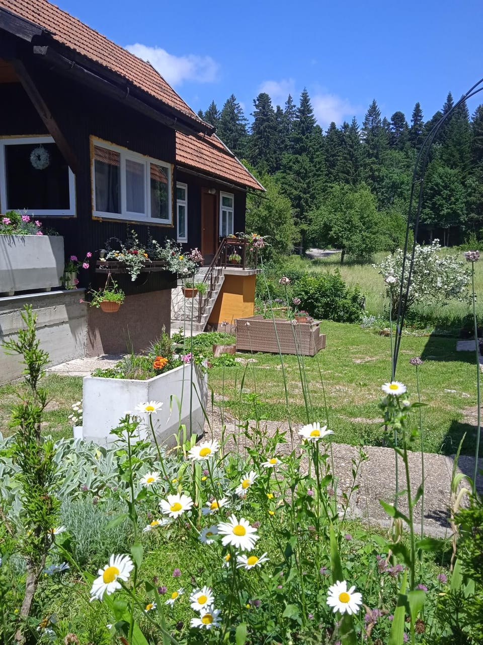 Garden, Inner courtyard view