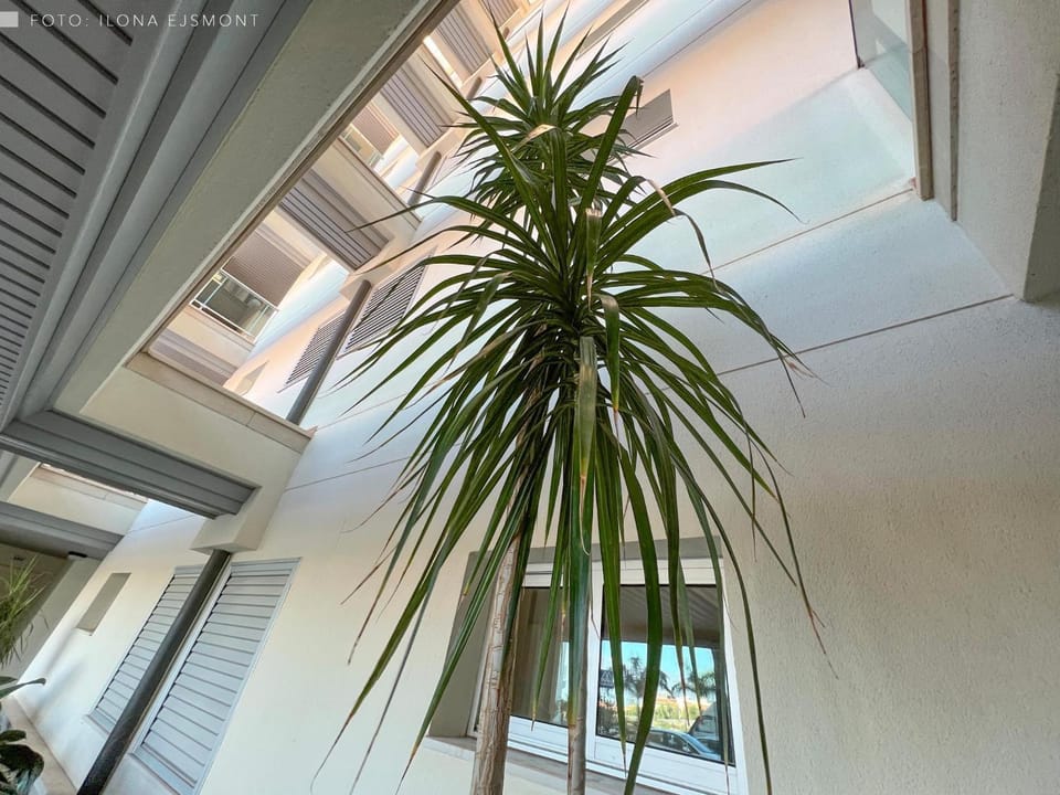 Apartamento Isla Feliz House in Abona