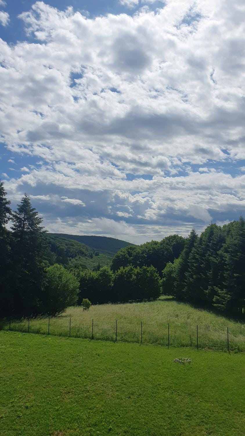 Mountain view