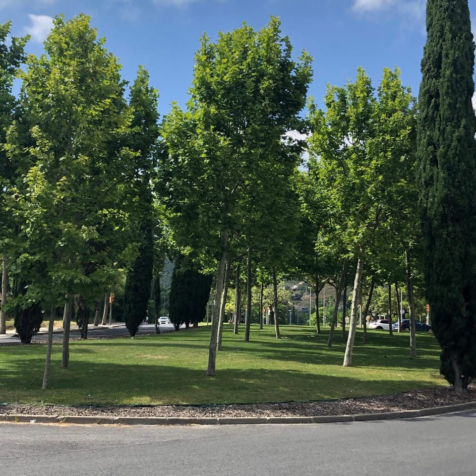 Neighbourhood