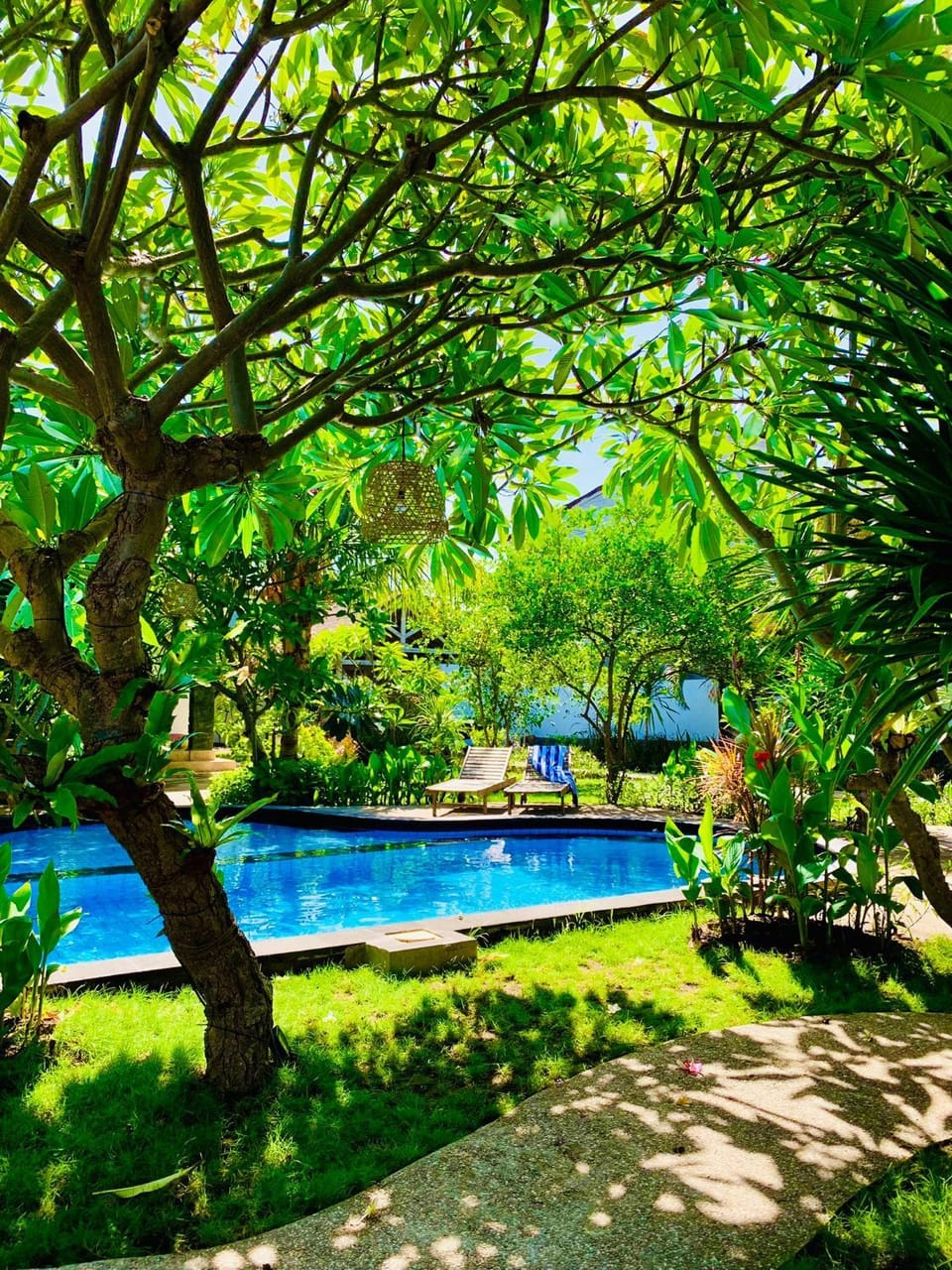 Day, Natural landscape, Garden, Garden, Garden view, Pool view, Swimming pool