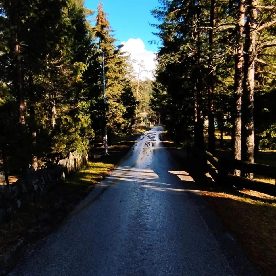 Day, Natural landscape, Location