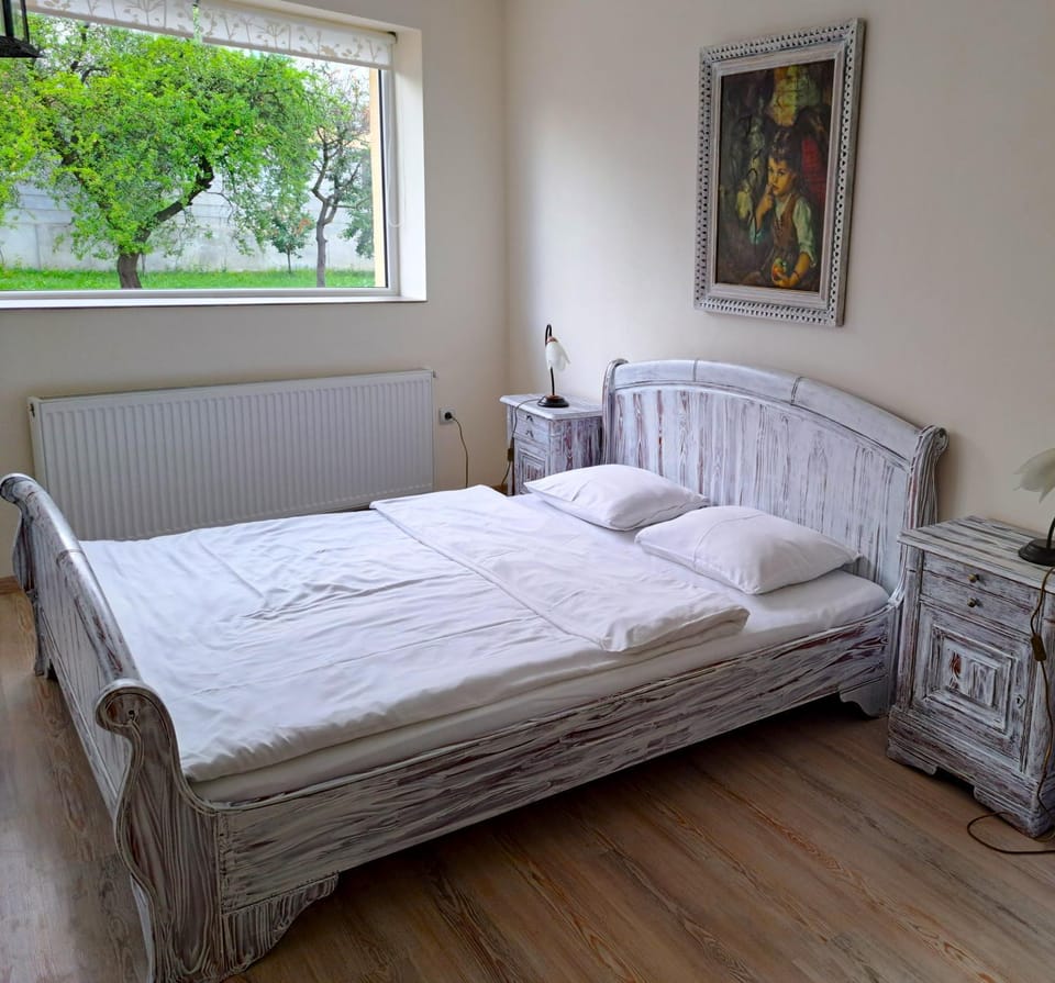 Todea House Apartment in Romania
