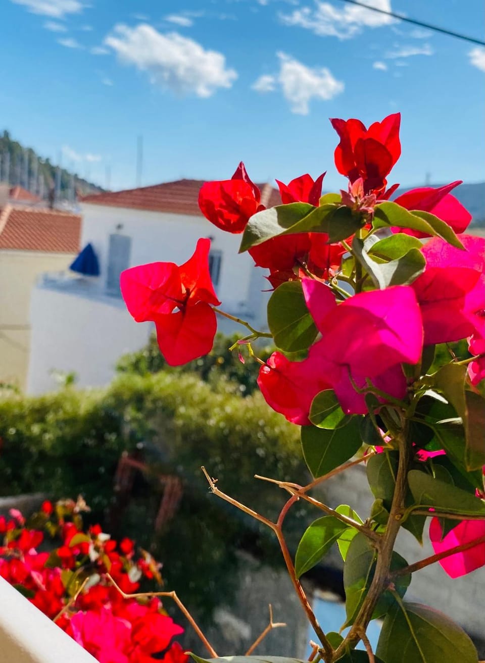 Island Traditional House House in Argolis, Greece