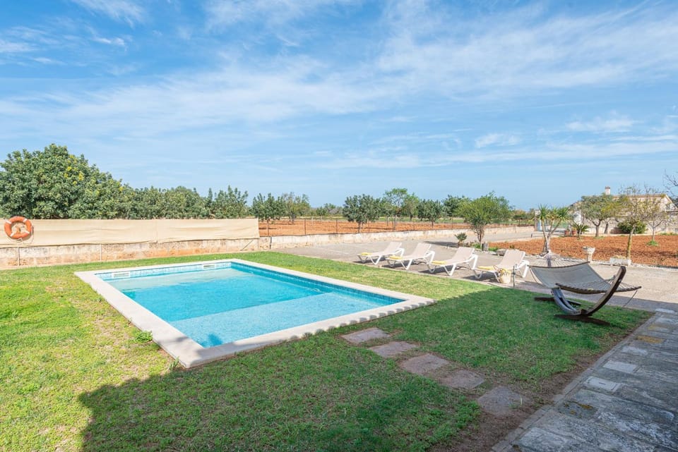 Day, Garden, Garden view, Pool view, Swimming pool, sunbed