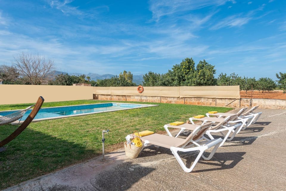 Spring, Garden, Garden view, Pool view, Swimming pool, sunbed
