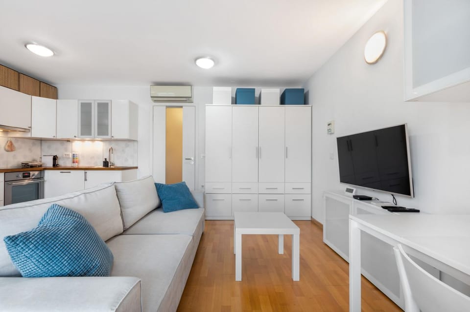TV and multimedia, Kitchen or kitchenette, Living room, Photo of the whole room, pet friendly, air conditioner