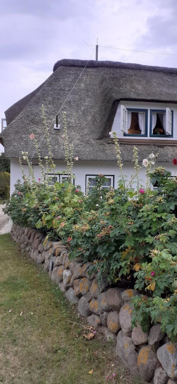 Seepferdchen Apartment in Nordfriesland