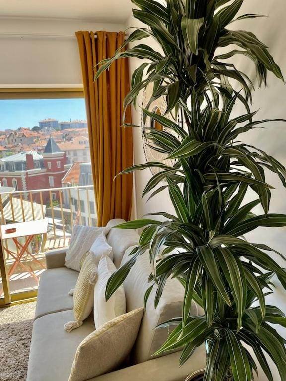 Superb top floor studio, Biarritz center. Apartment in Biarritz