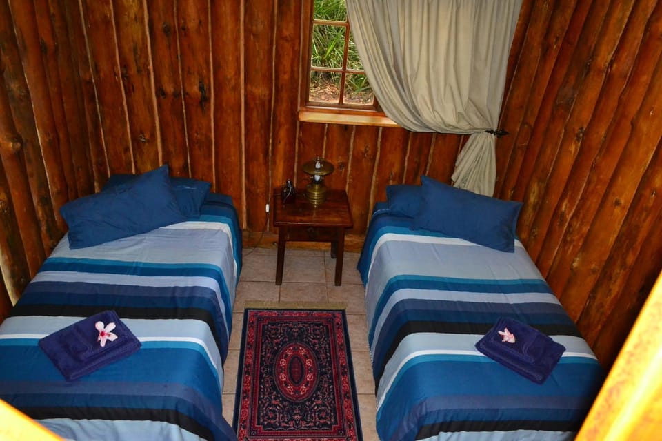 Bedroom, Garden view, towels