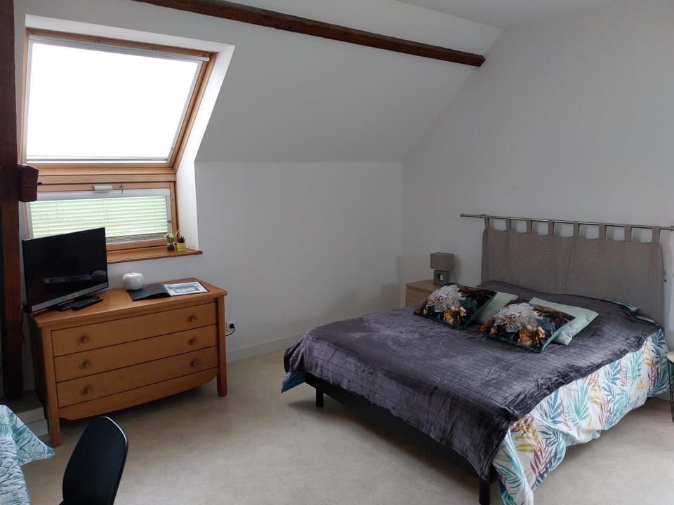 Bed, TV and multimedia