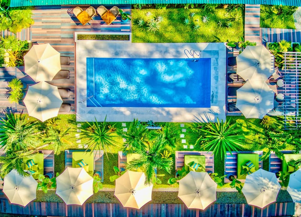 Swimming pool, Swimming pool, sunbed