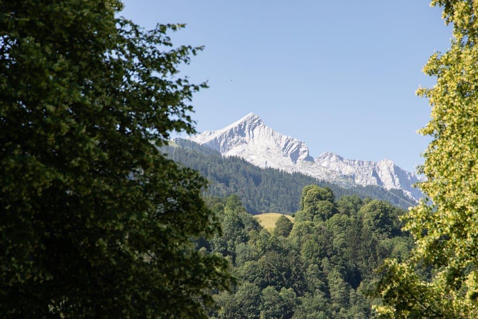 Mountain view