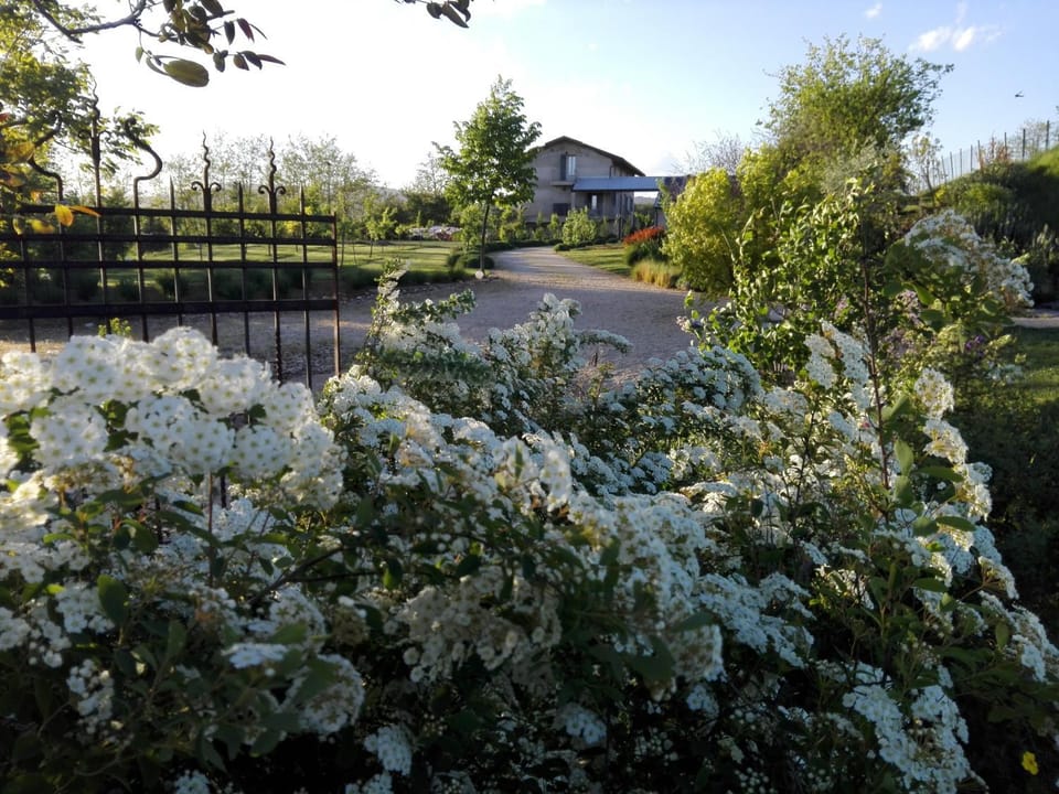 Facade/entrance, Garden, Garden, Garden view