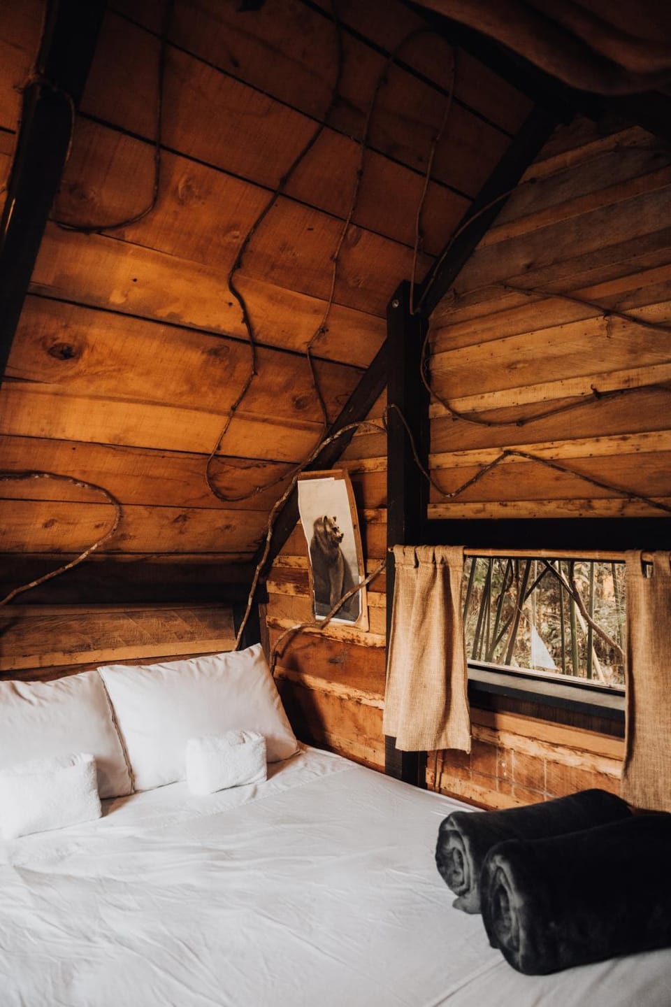 Redwood Salento Campground/ 
RV Resort in Quindio, Colombia