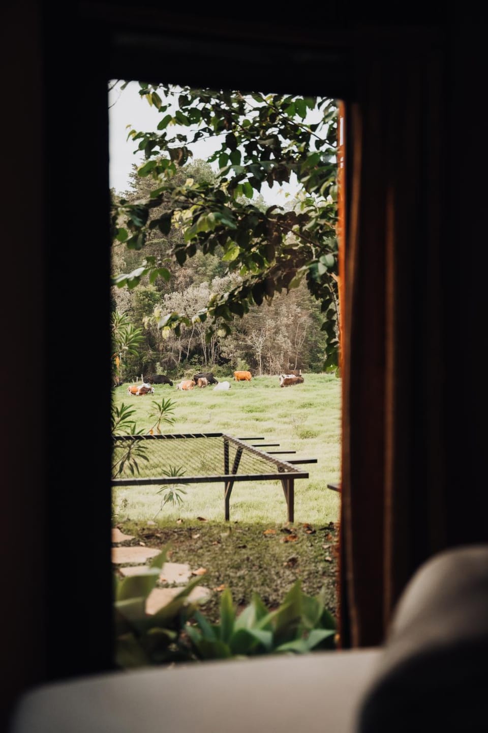 Redwood Salento Campground/ 
RV Resort in Quindio, Colombia