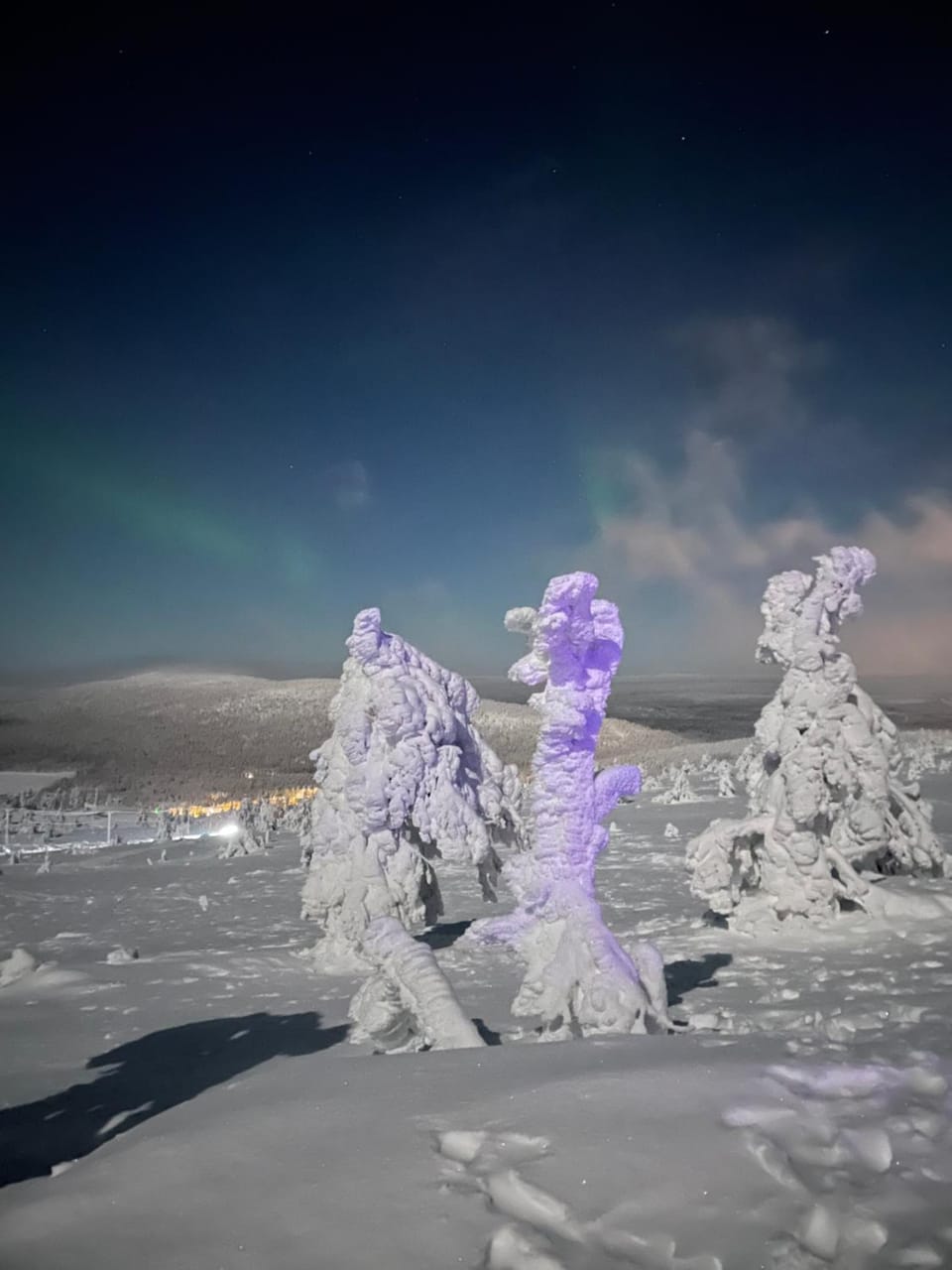Natural landscape, Winter