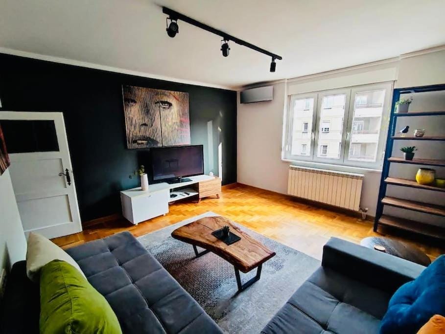 Vracar hideaway with private garage Apartment in Belgrade