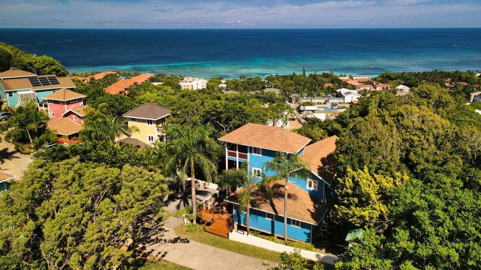 Property building, Bird's eye view