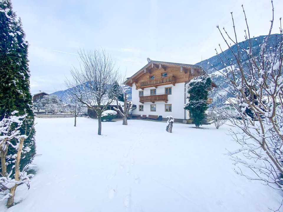Property building, Winter, Garden