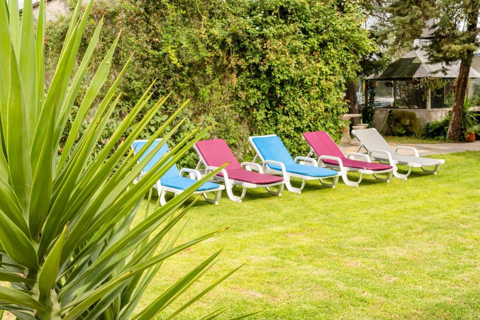 Natural landscape, Garden, Garden view
