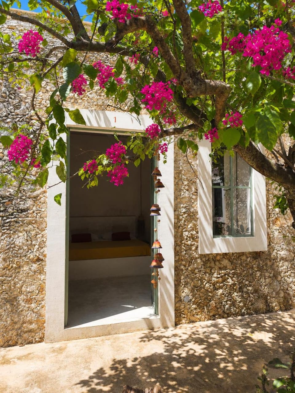Garden view