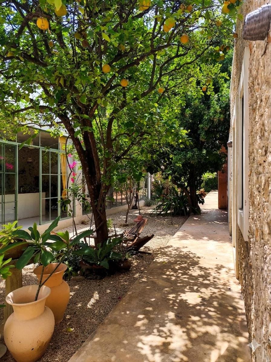 Garden, Garden view