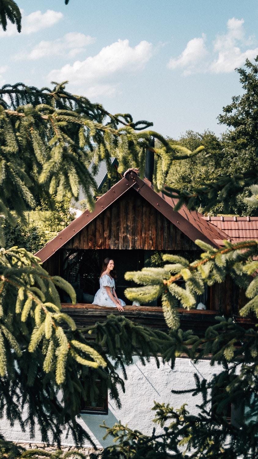 Cuib din Fagaras Chalet in Romania