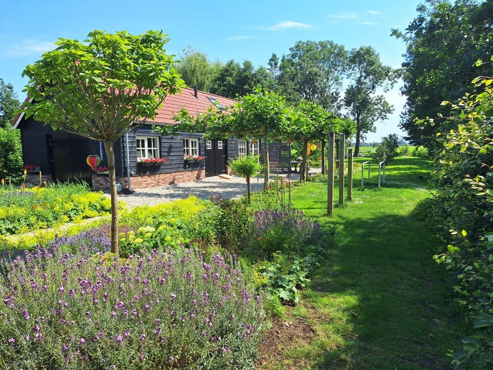 Natural landscape, Garden, Garden view