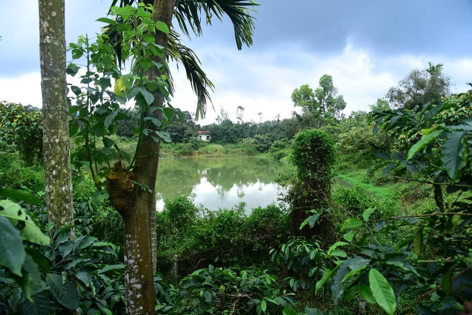 Natural landscape, Lake view