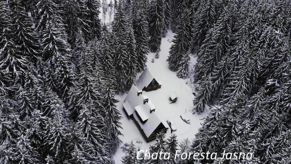 Bird's eye view, Winter