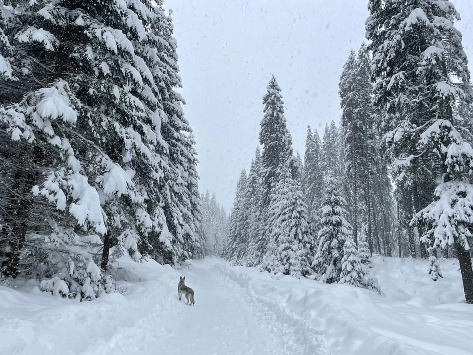 Natural landscape, Winter