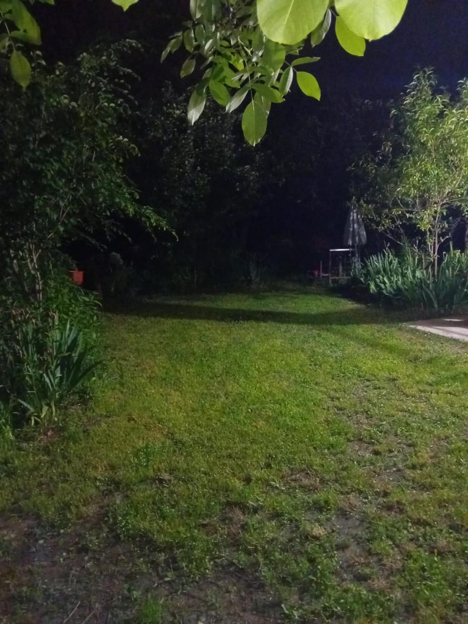 Spring, Night, Garden, Garden view