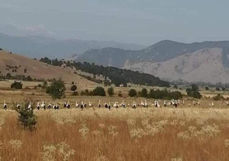 Day, Natural landscape, Summer, Mountain view